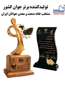 تولیدکننده برتر جوان